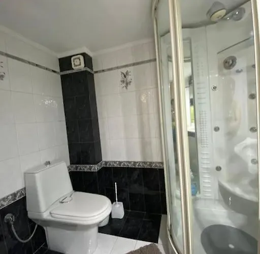 公寓 жилье целиком *